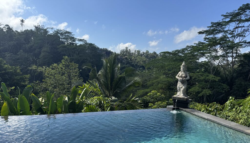 Bali travel guide - An infinity pool with clear blue water overlooks lush green tropical trees and hills; a stone statue stands at the pool’s edge, with water flowing from it. The sky is bright and mostly clear.