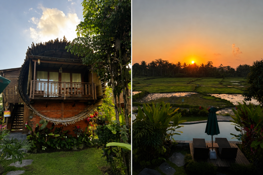 Beehouse Dijiwa villa and view