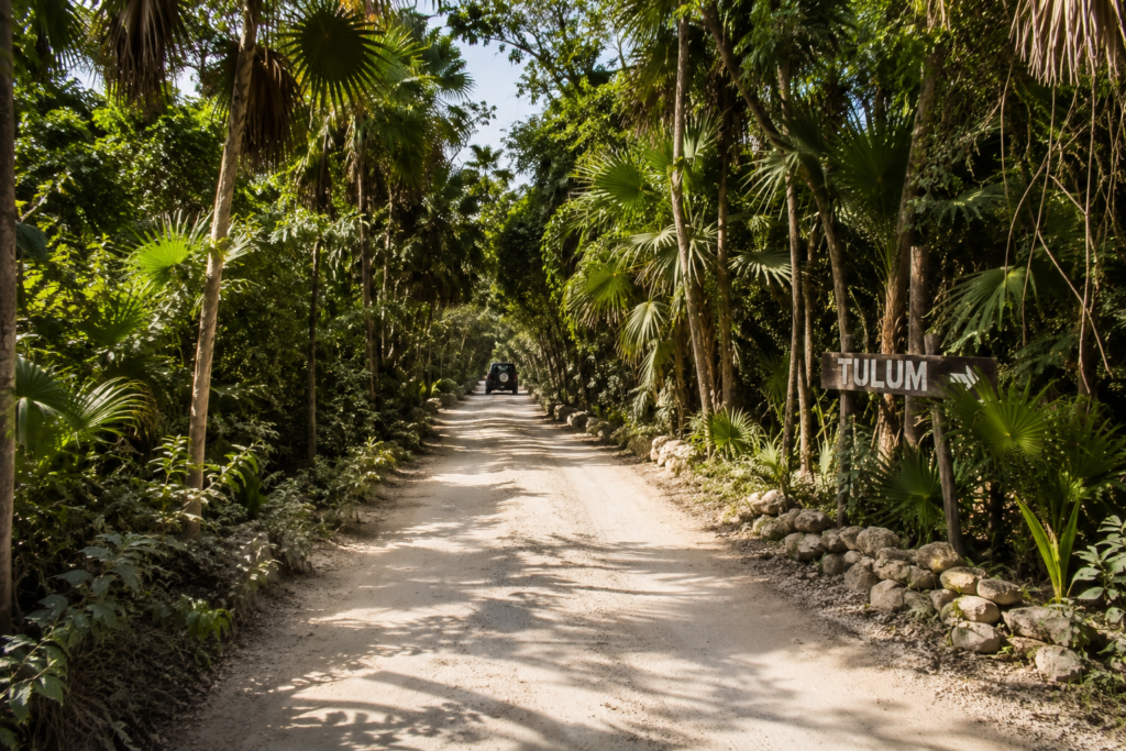 Jungle road surrounded by dense tropical vegetation and palm trees in Tulum, Mexico.